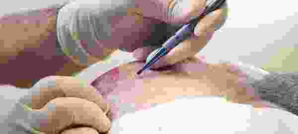services